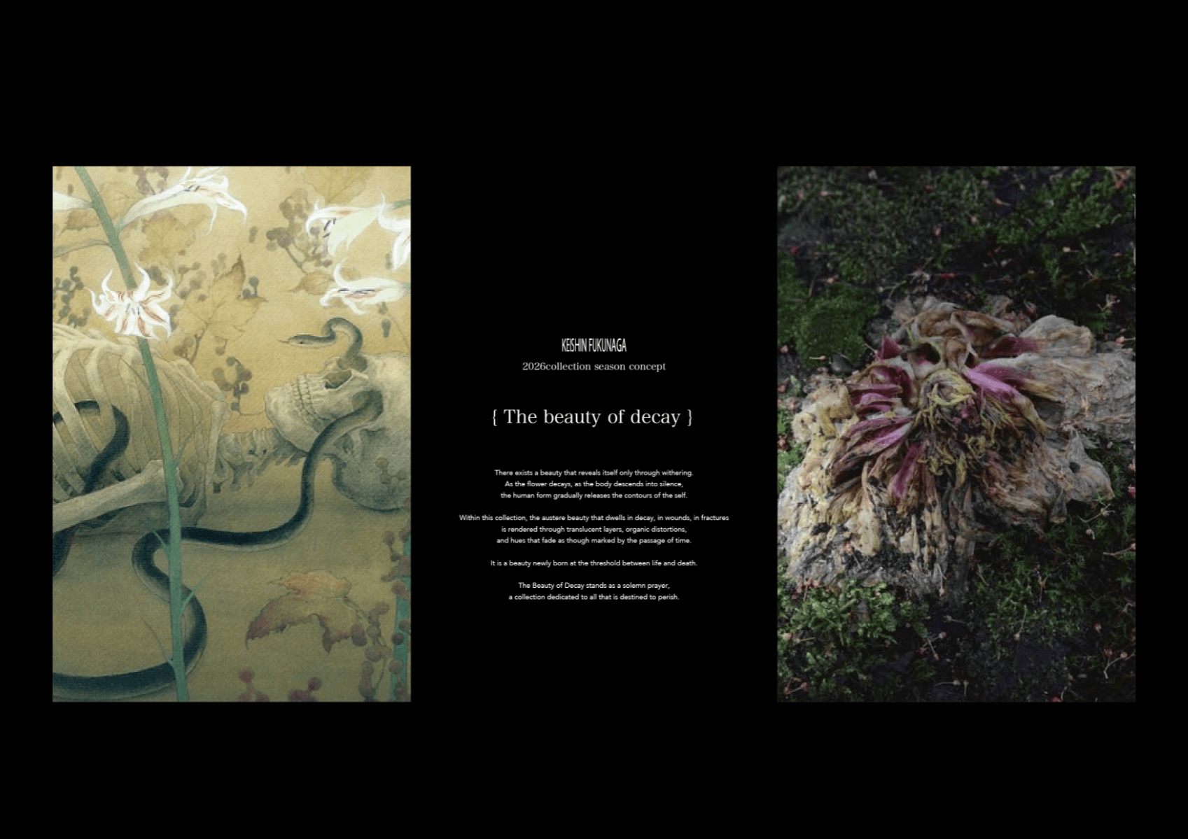 The beauty of decay, portfolio item 2