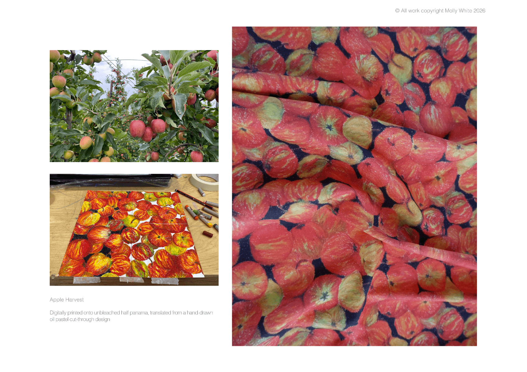 The garden of england, portfolio item 5