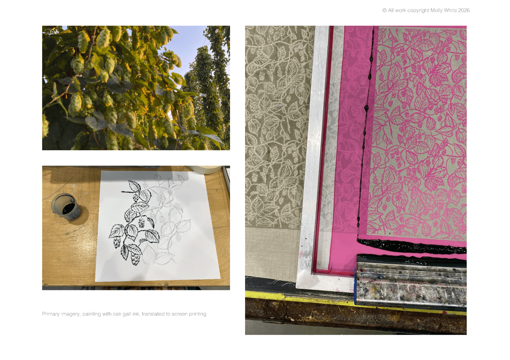 The garden of england, portfolio item 9