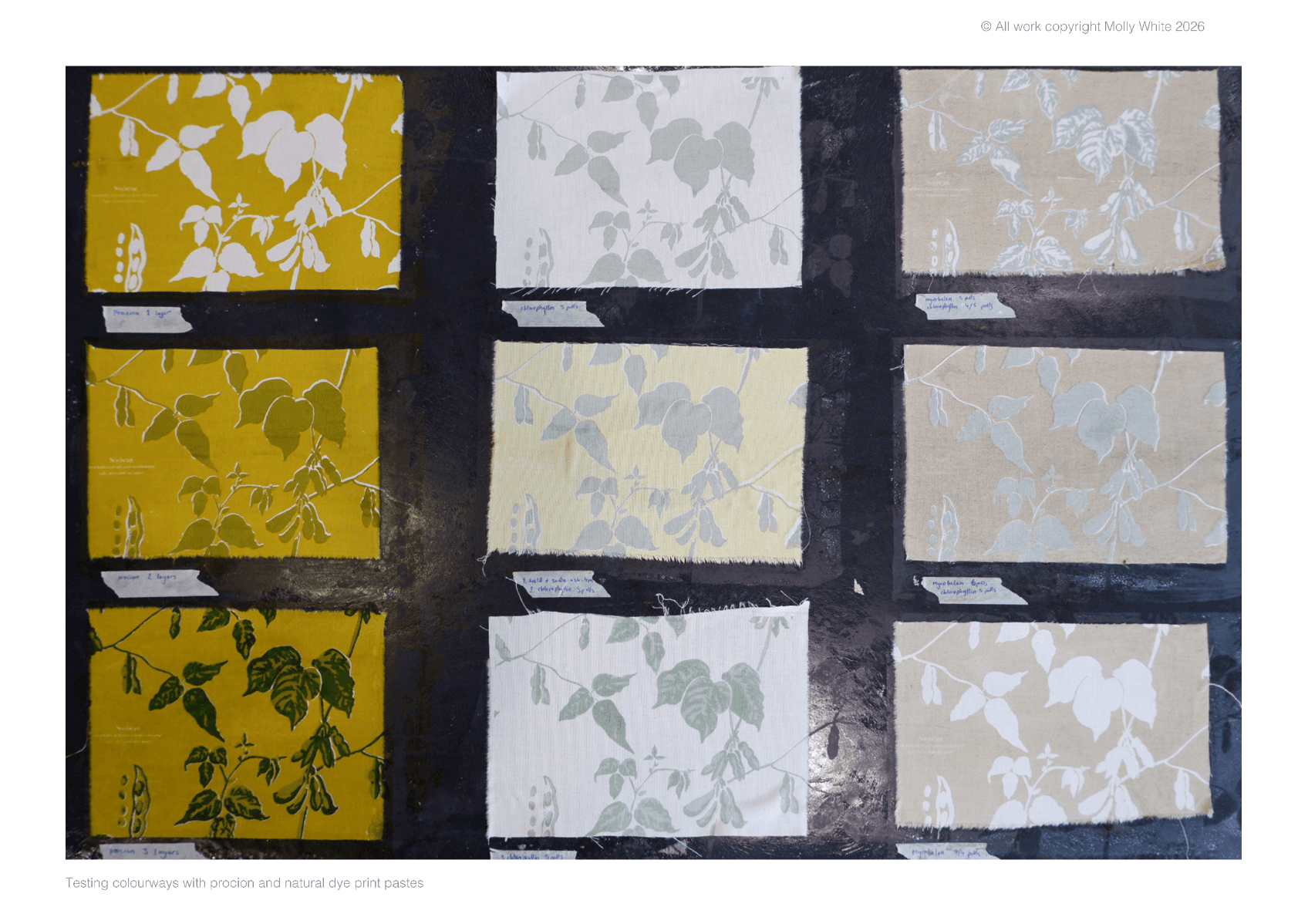 The garden of england, portfolio item 11