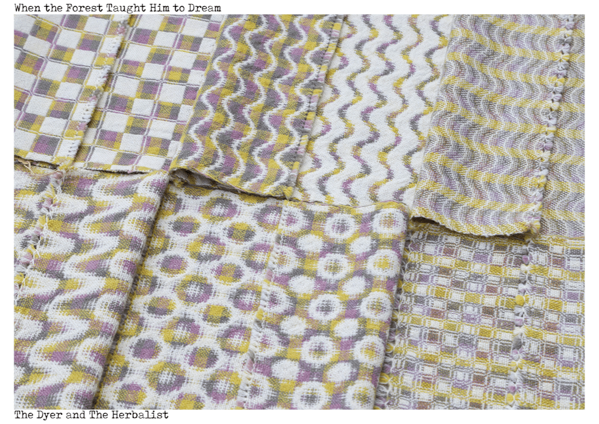 Threads of Folklore and Field, portfolio item 13