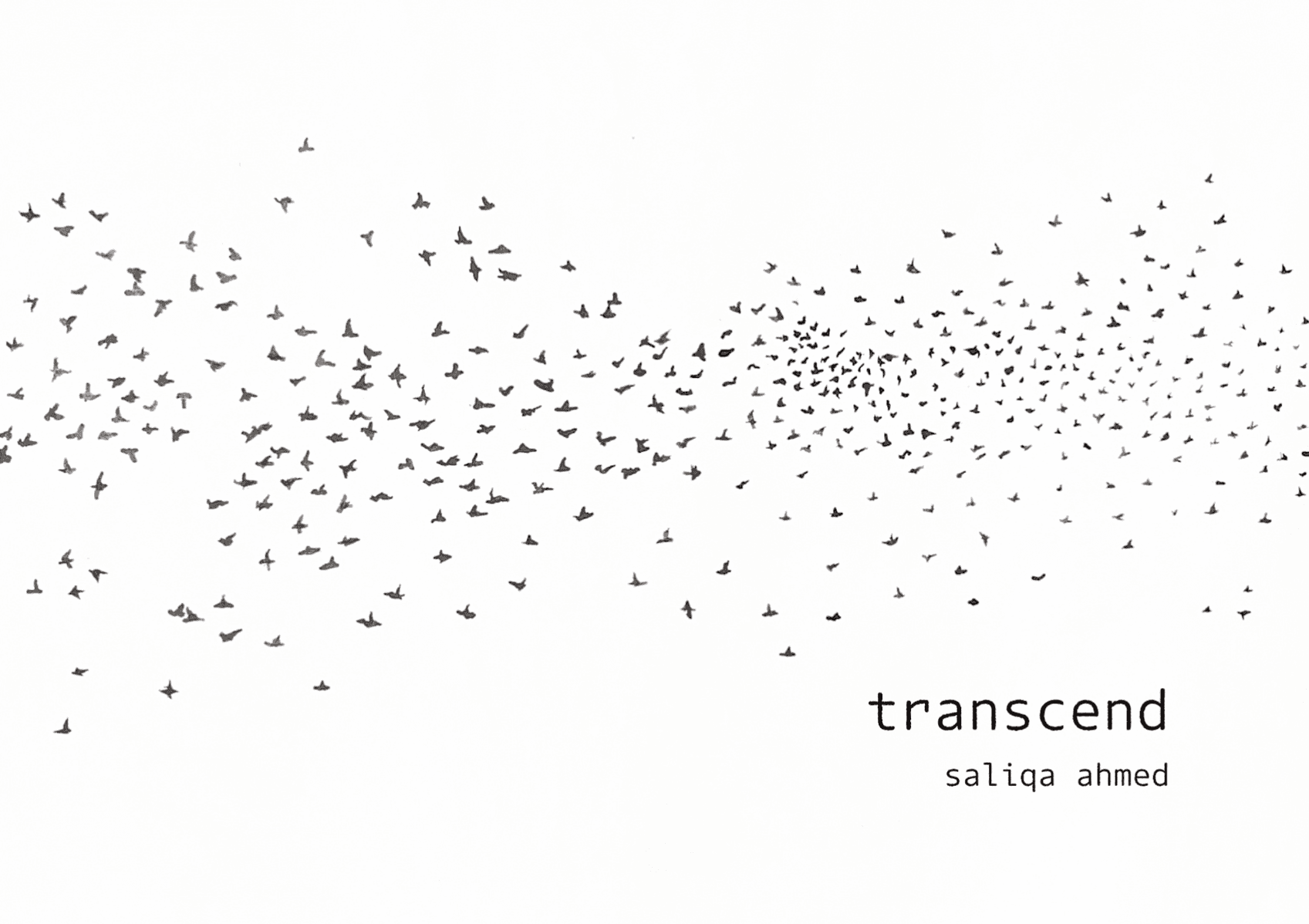 Transcend, portfolio item 1