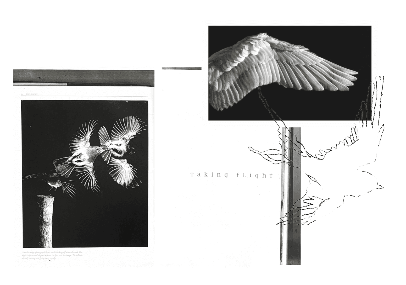 Transcend, portfolio item 2