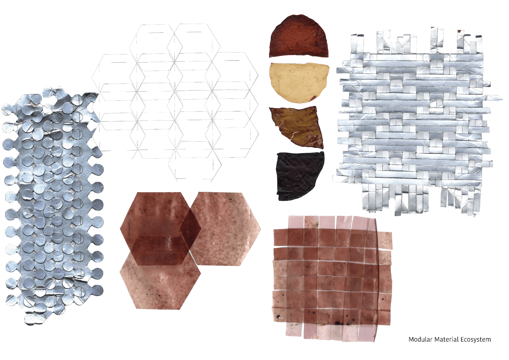 Bioskins//bushland Couture, portfolio item 4