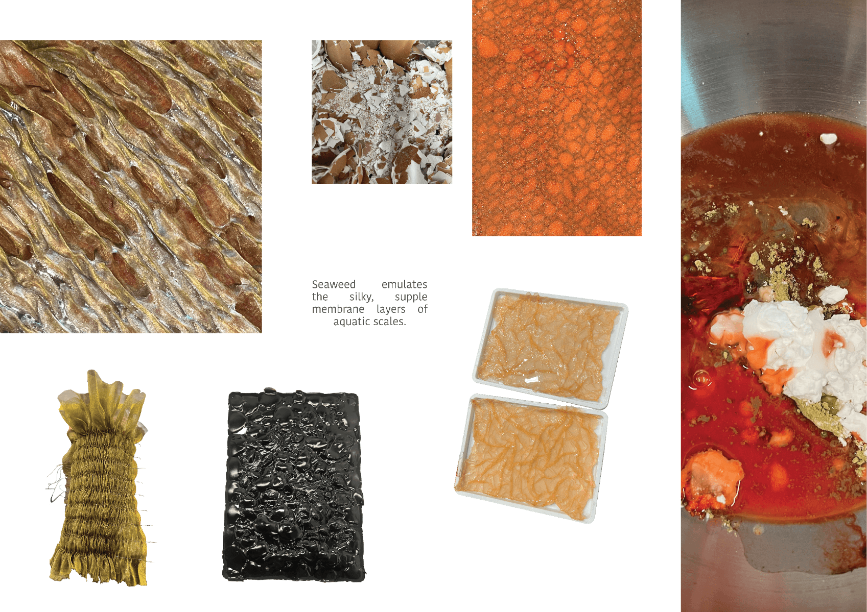 Bioskins//bushland Couture, portfolio item 6