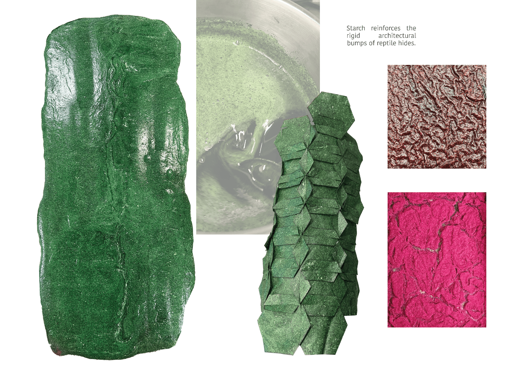 Bioskins//bushland Couture, portfolio item 7