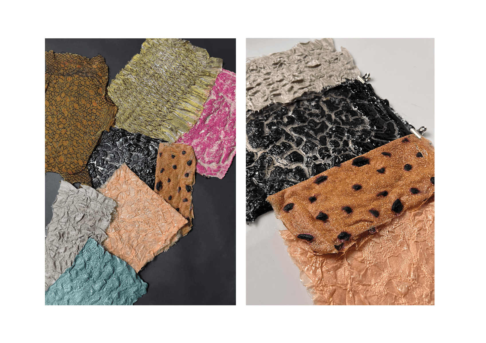 Bioskins//bushland Couture, portfolio item 3
