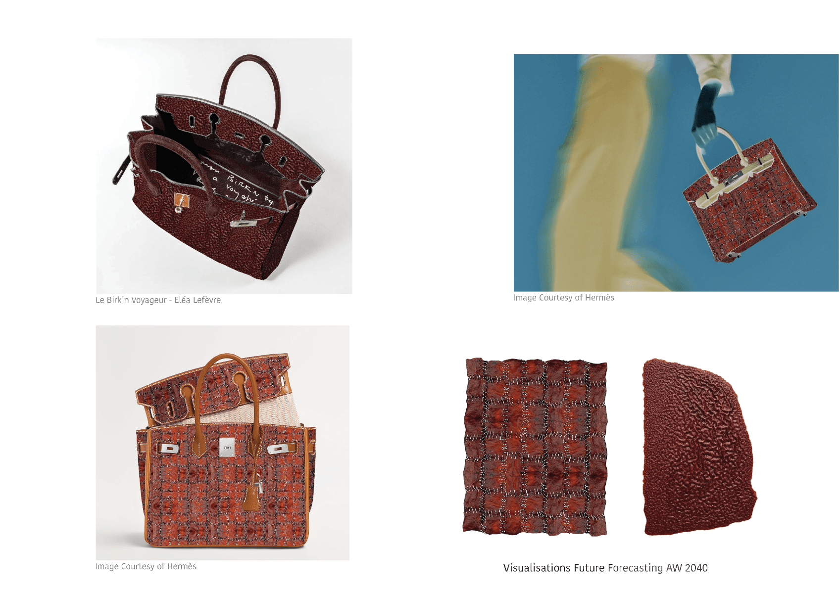 Bioskins//bushland Couture, portfolio item 9