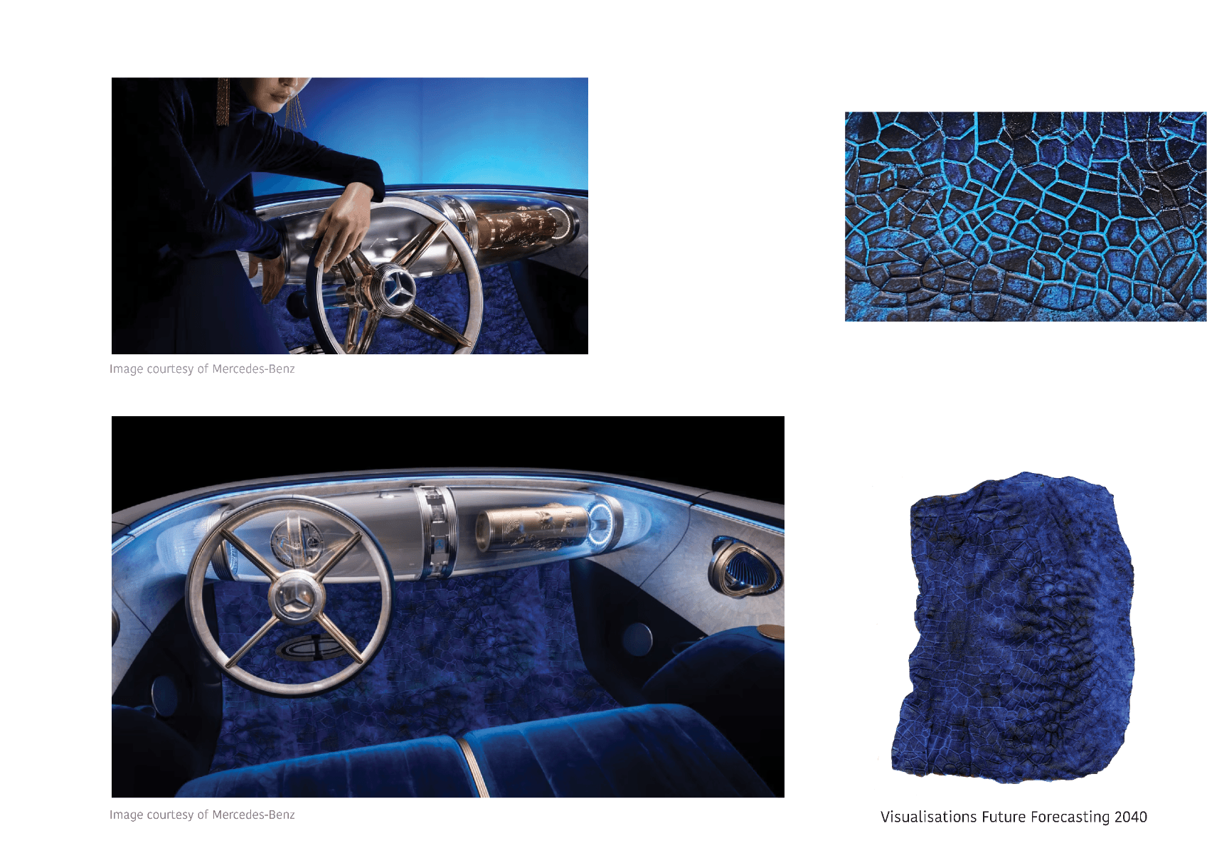 Bioskins//bushland Couture, portfolio item 10