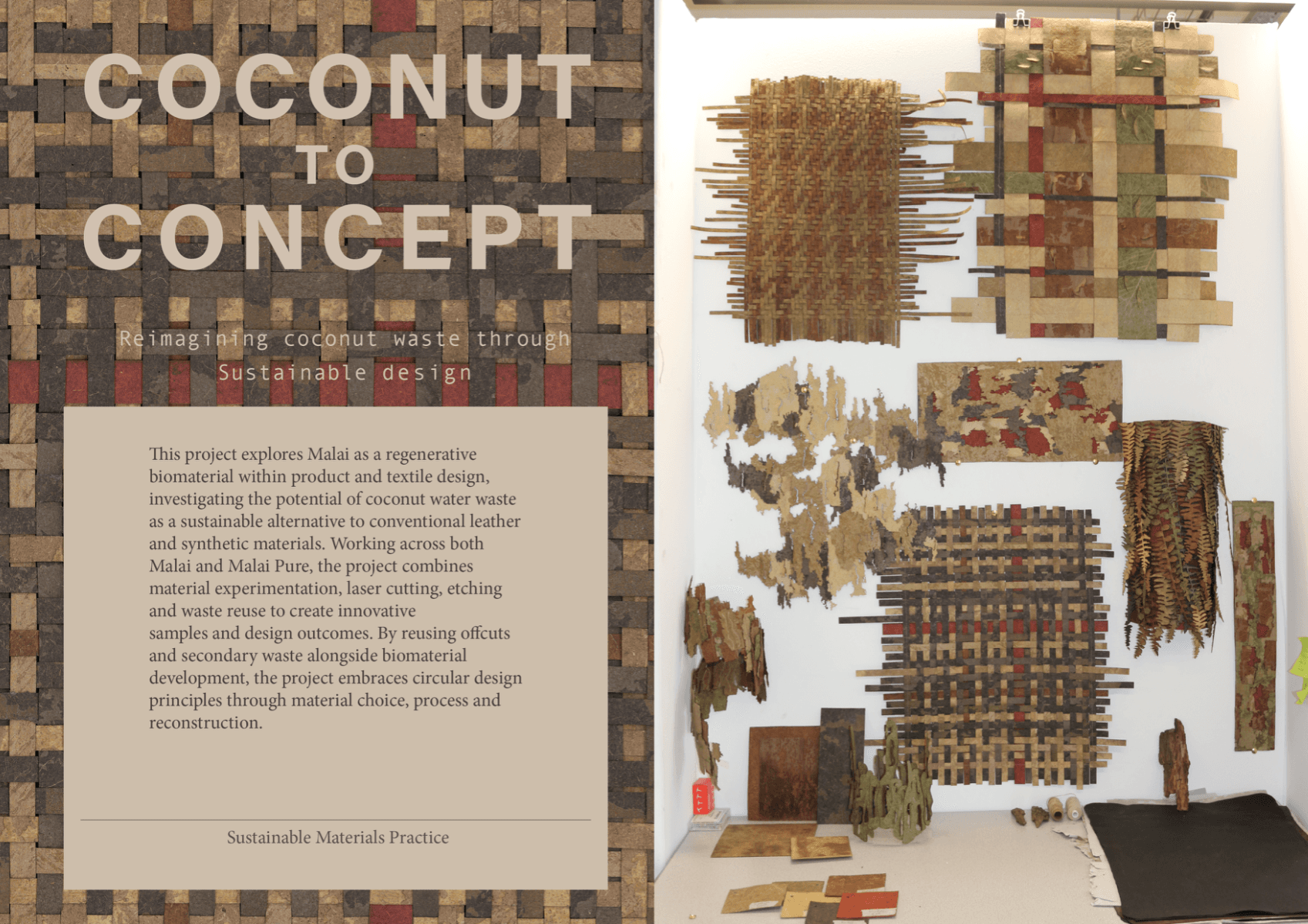 Coconut to Concept, portfolio item 1