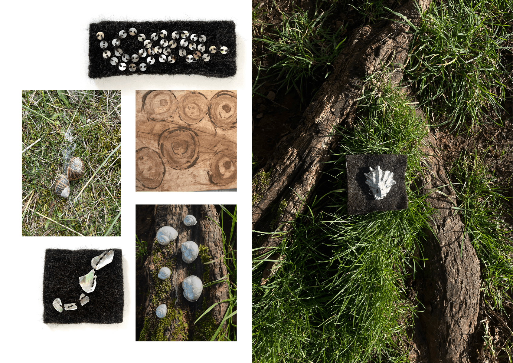 Trails, portfolio item 9