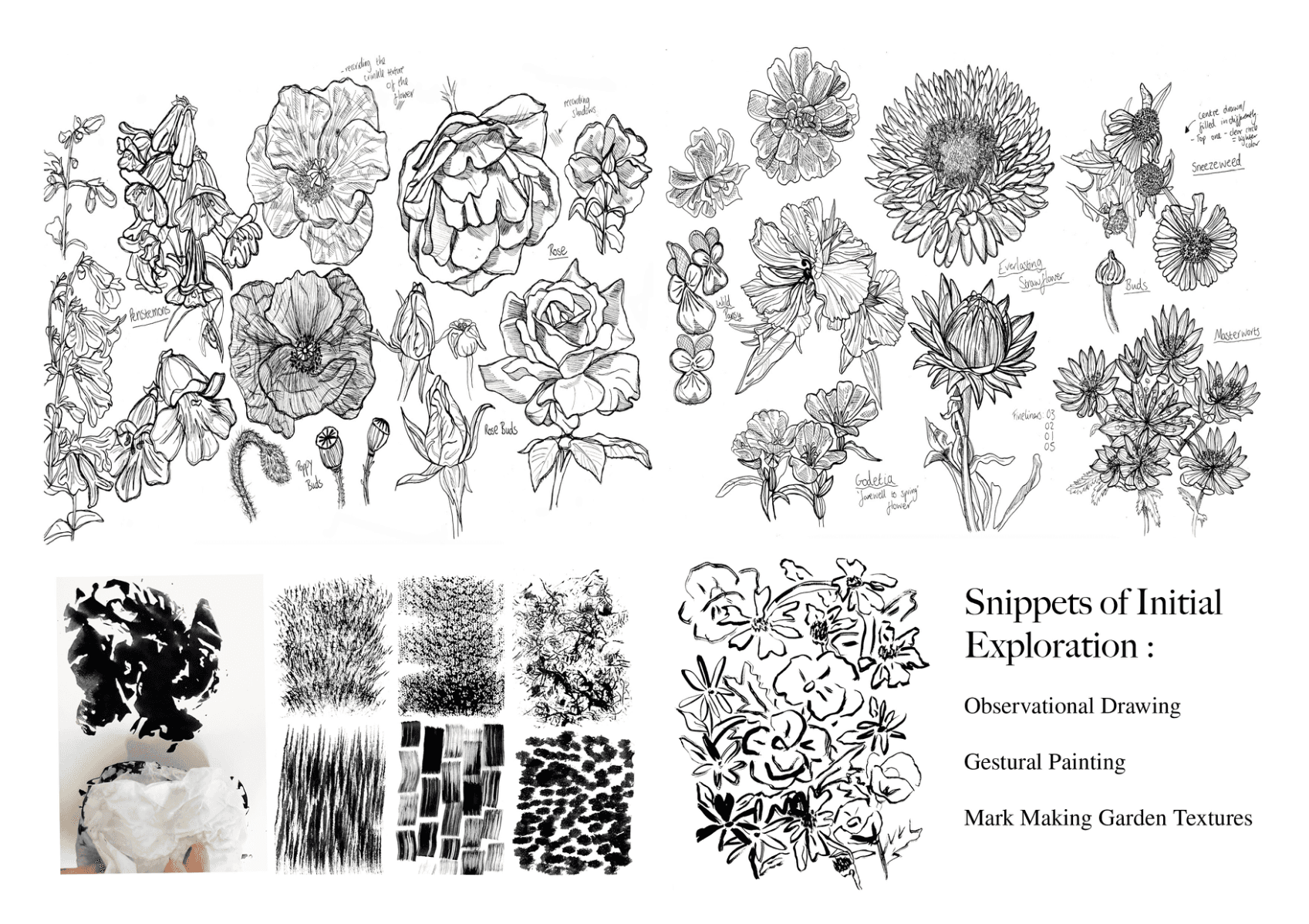 The tale of two gardens, portfolio item 5