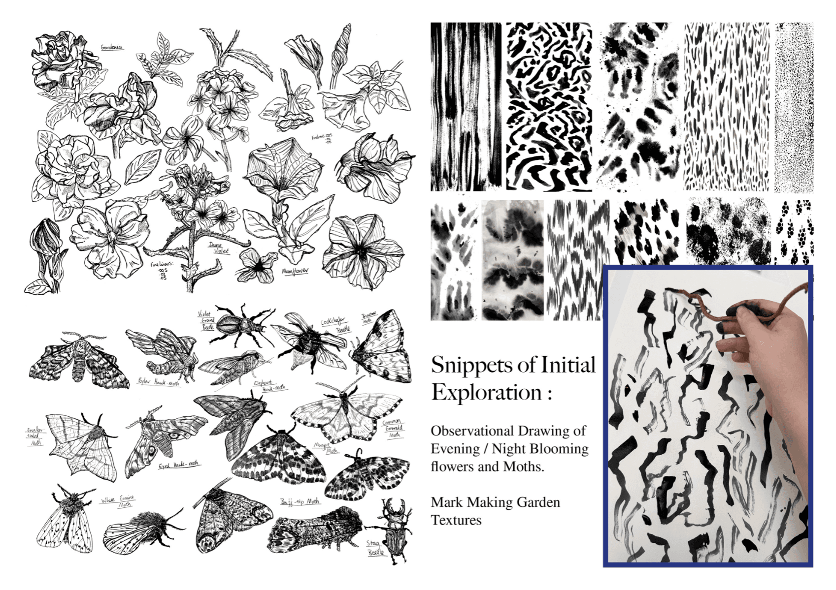 The tale of two gardens, portfolio item 12