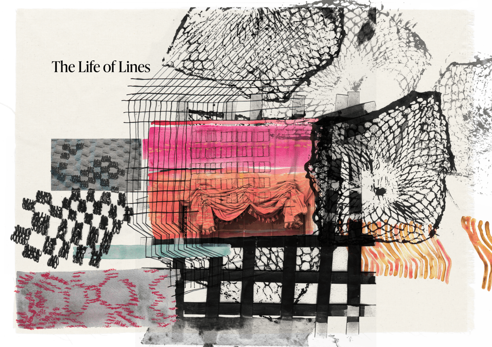 THe life of lines, portfolio item 1