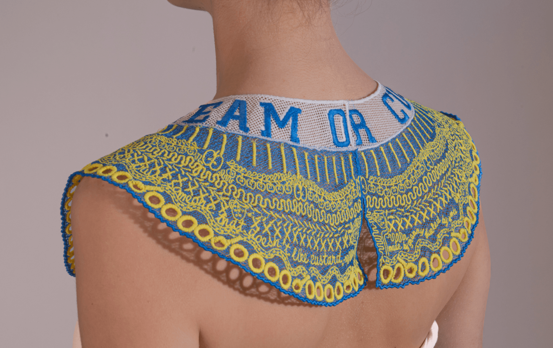The ketchup and custard collection: hidden stories in lace, portfolio item 15