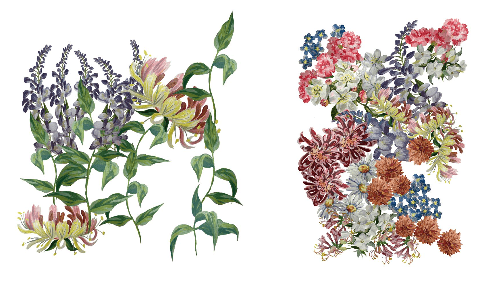 Stories In Bloom, portfolio item 6