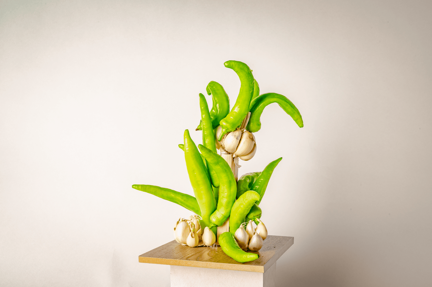 Mai'dasar: to Feast, portfolio item 14