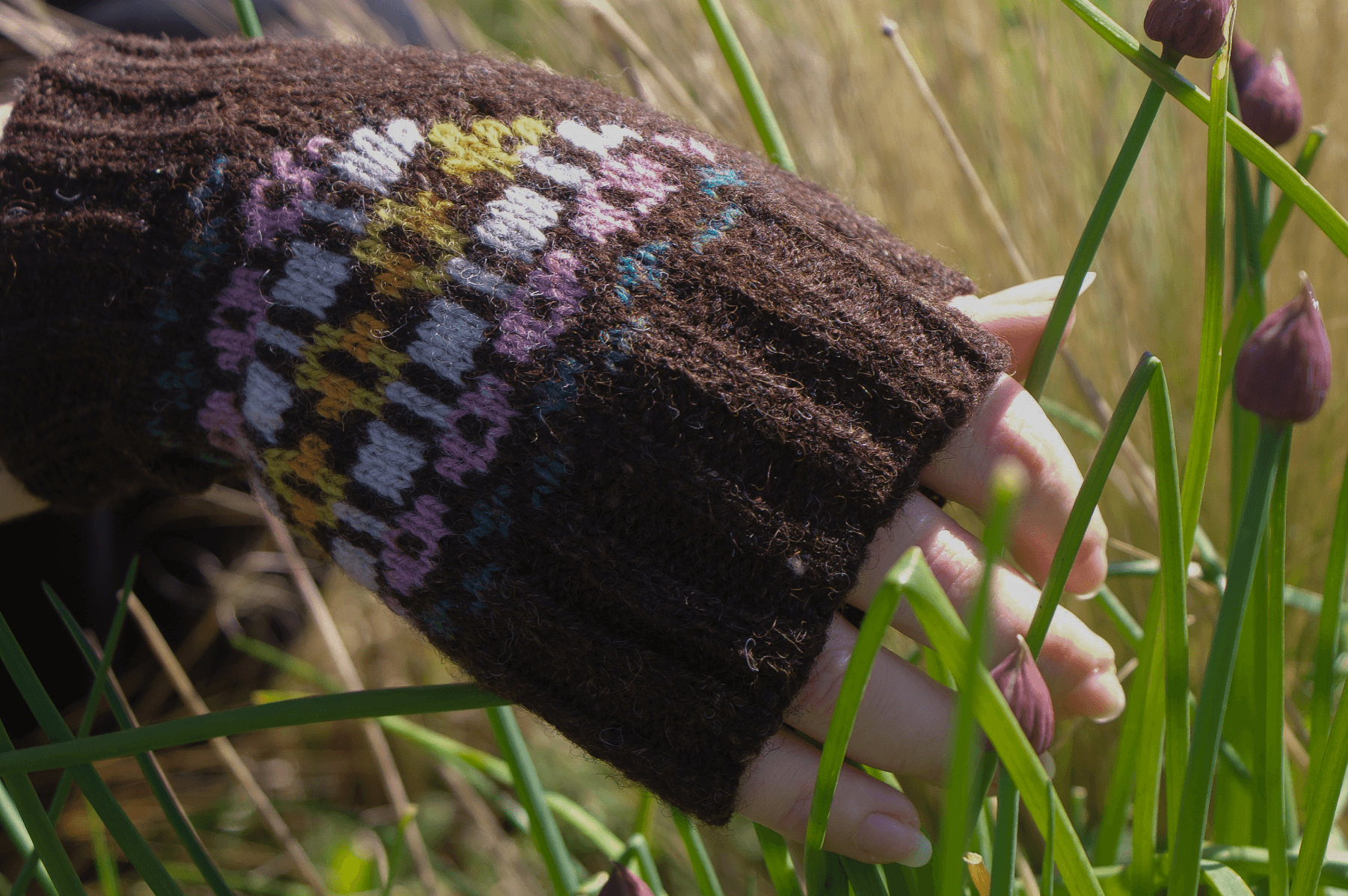 IN the heather, portfolio item 5