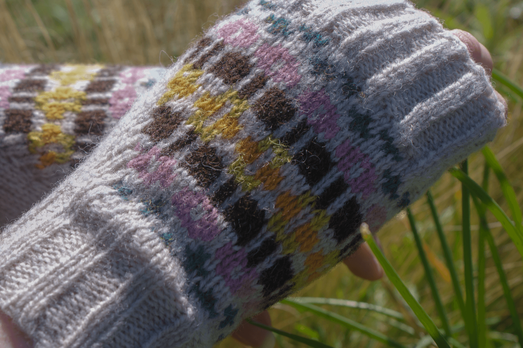 IN the heather, portfolio item 6