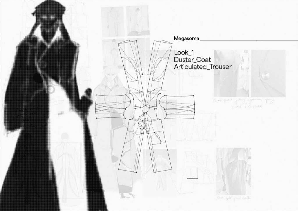 Megasoma, portfolio item 5