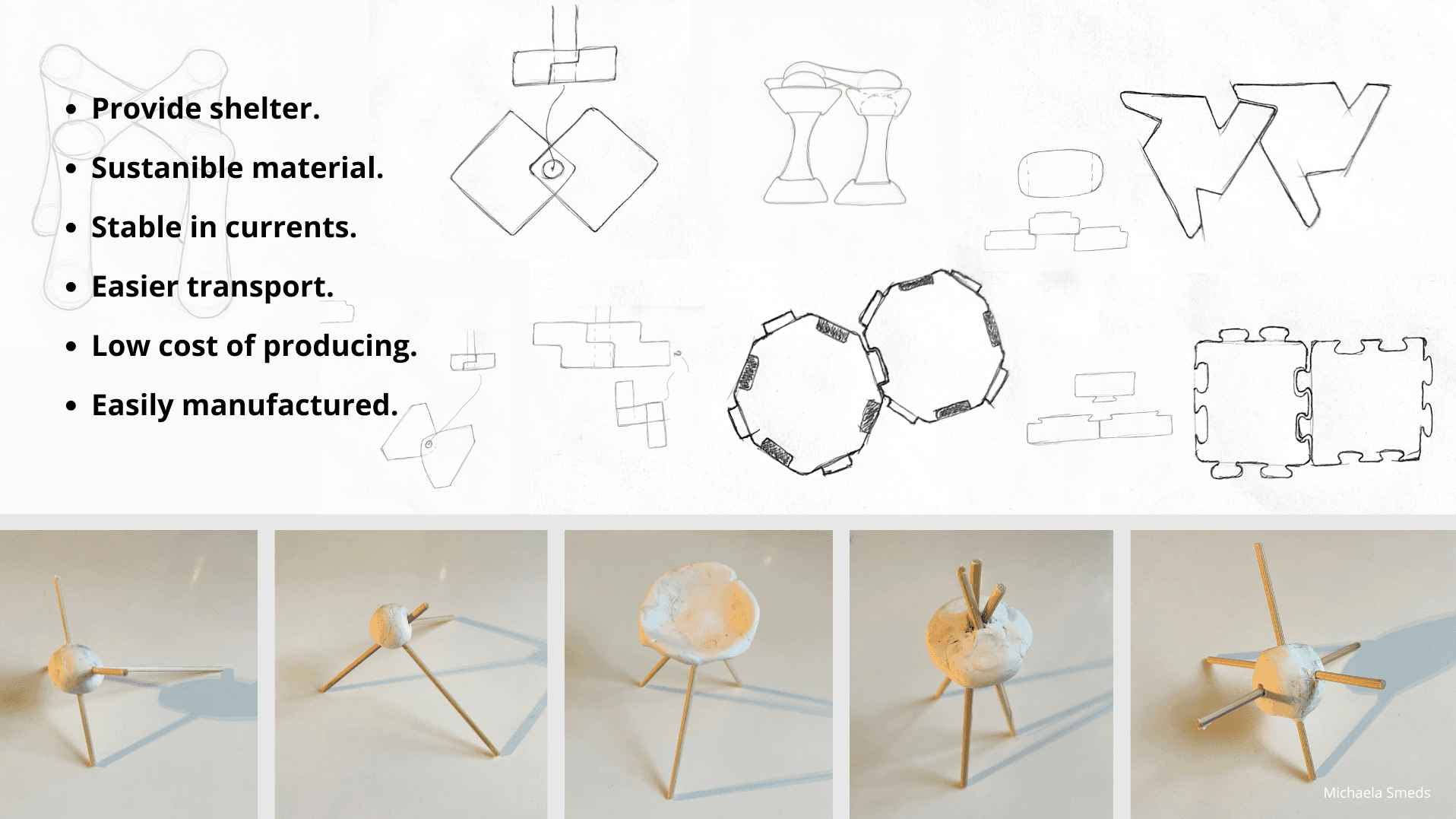 How design can help a coral reef- Designing for people, restoring for nature., portfolio item 7