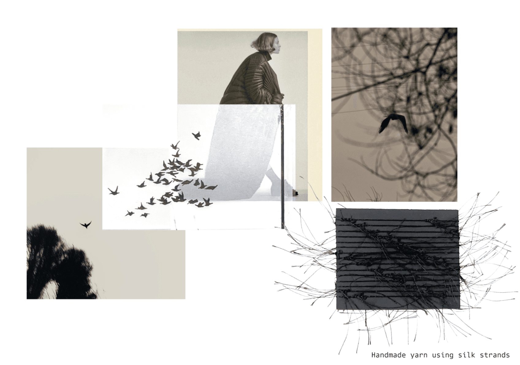 Transcend, portfolio item 3