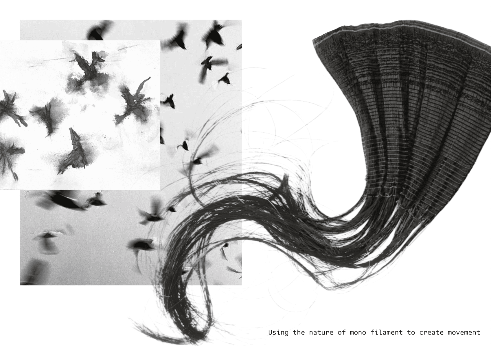 Transcend, portfolio item 11
