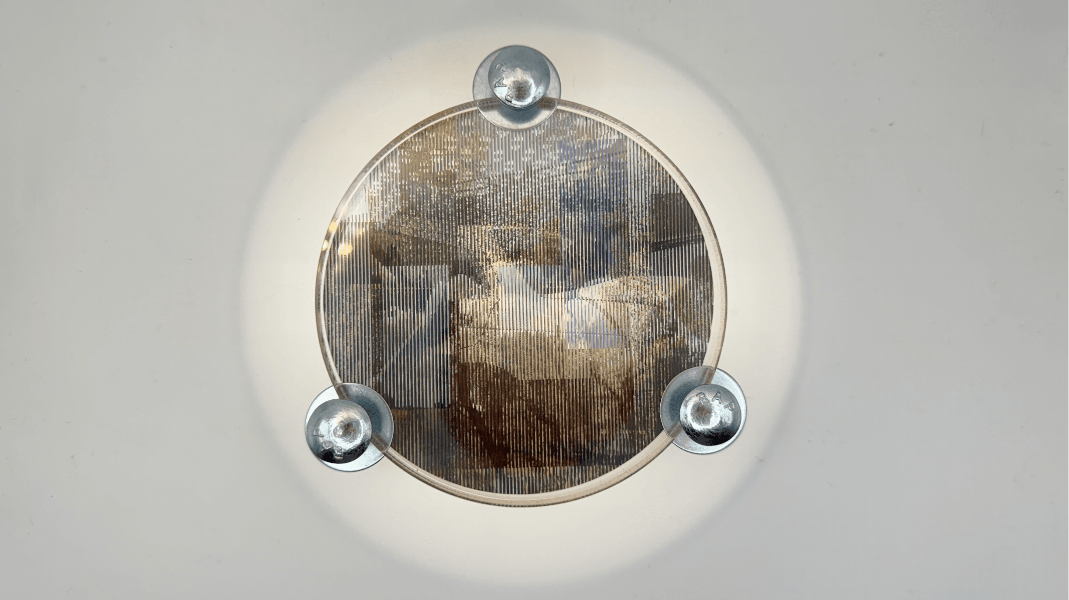 Archivo vivo, portfolio item 6