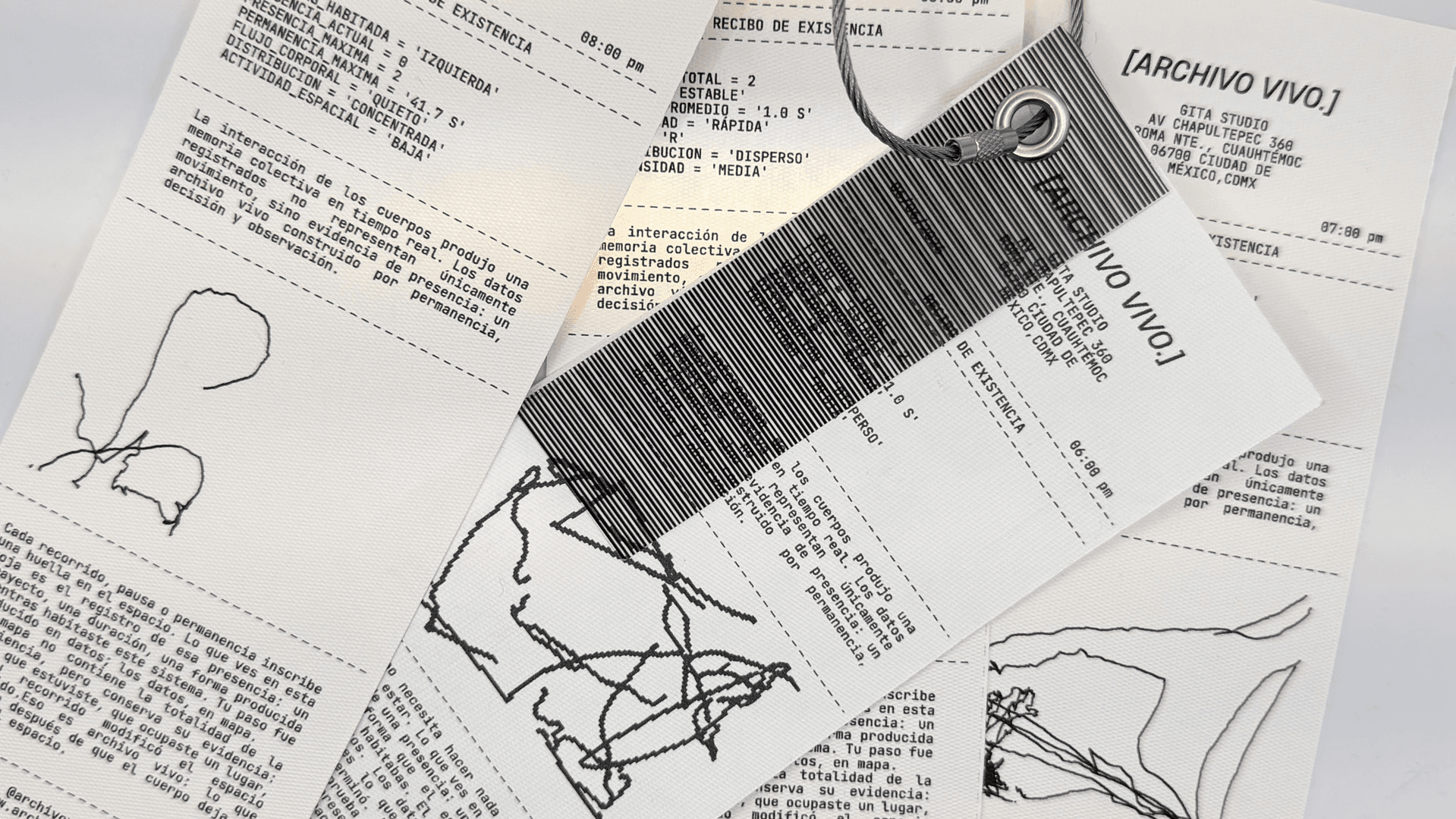 Archivo vivo, portfolio item 5