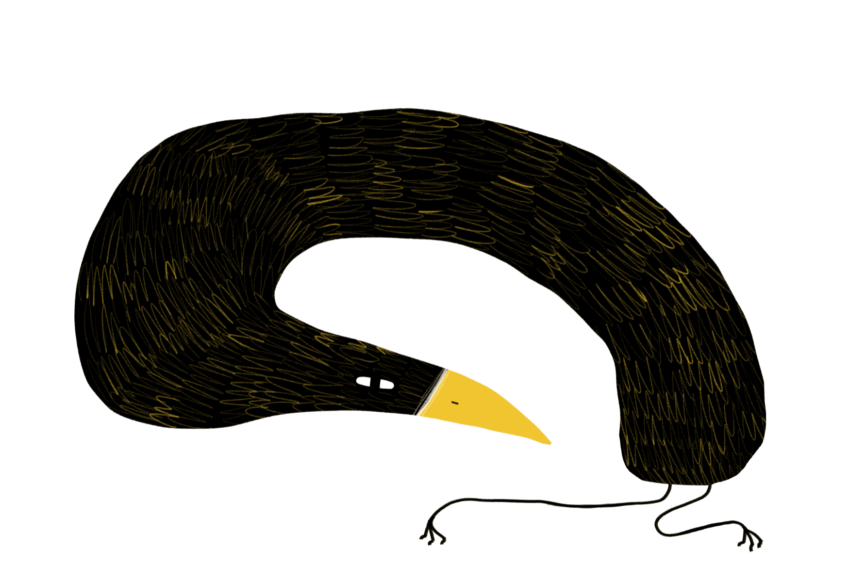 Small, portfolio item 8