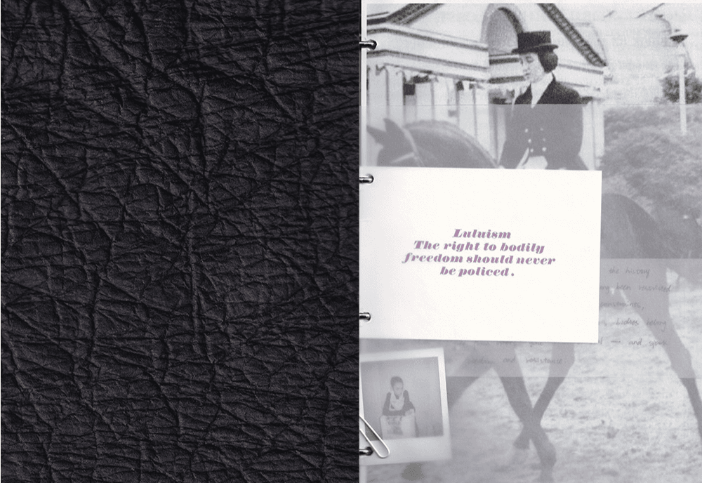 Luluism, portfolio item 2