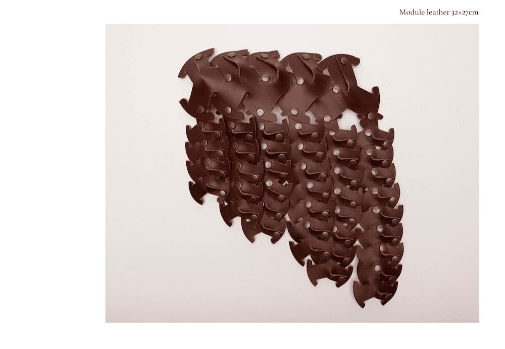 Luluism, portfolio item 12
