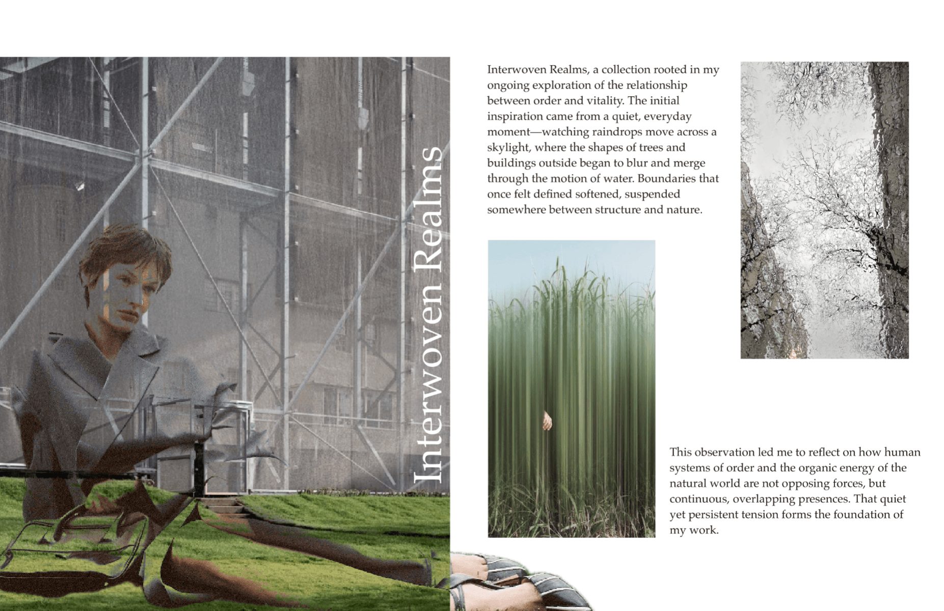Interwoven realms, portfolio item 2