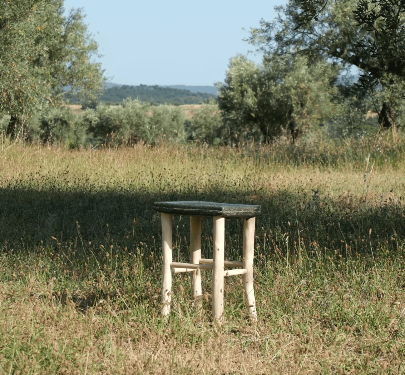 Picual, portfolio item 7