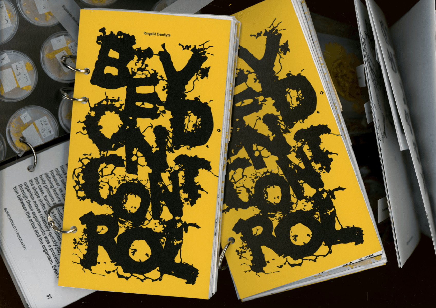 Beyond control, portfolio item 5