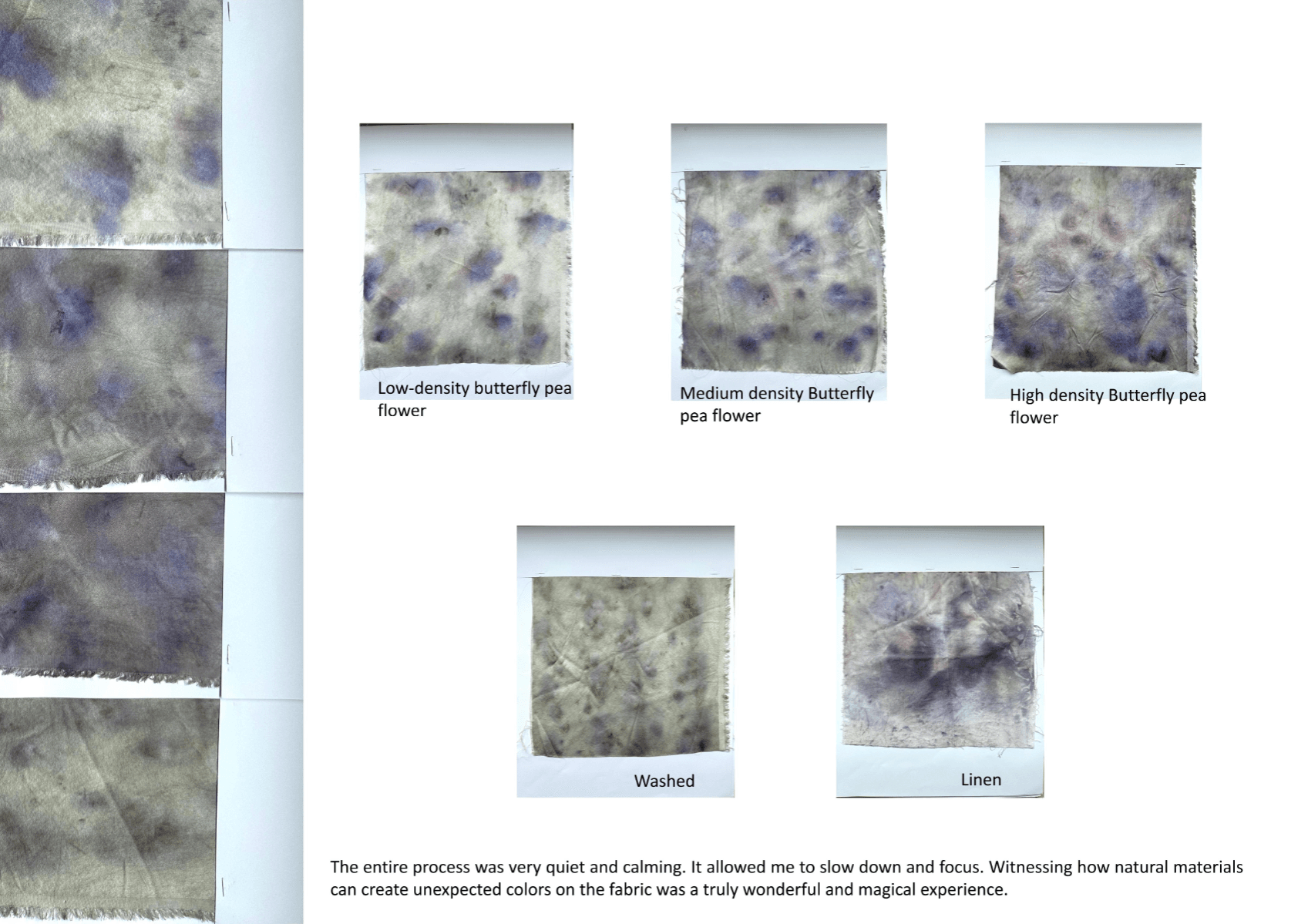 Nurturing Energy in Silence, portfolio item 14