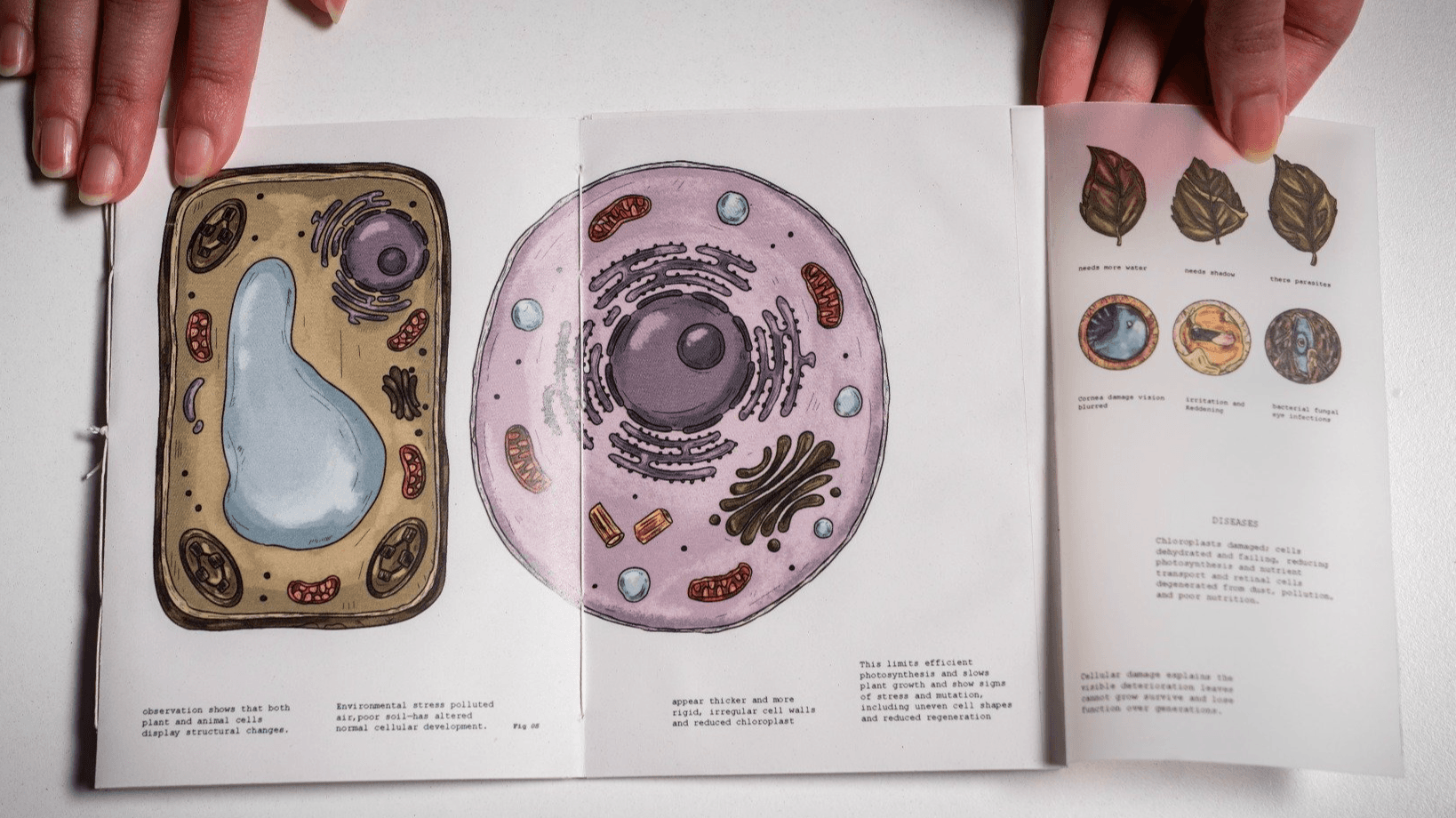 Al-Haif A Speculative Illustrated Journal, portfolio item 14