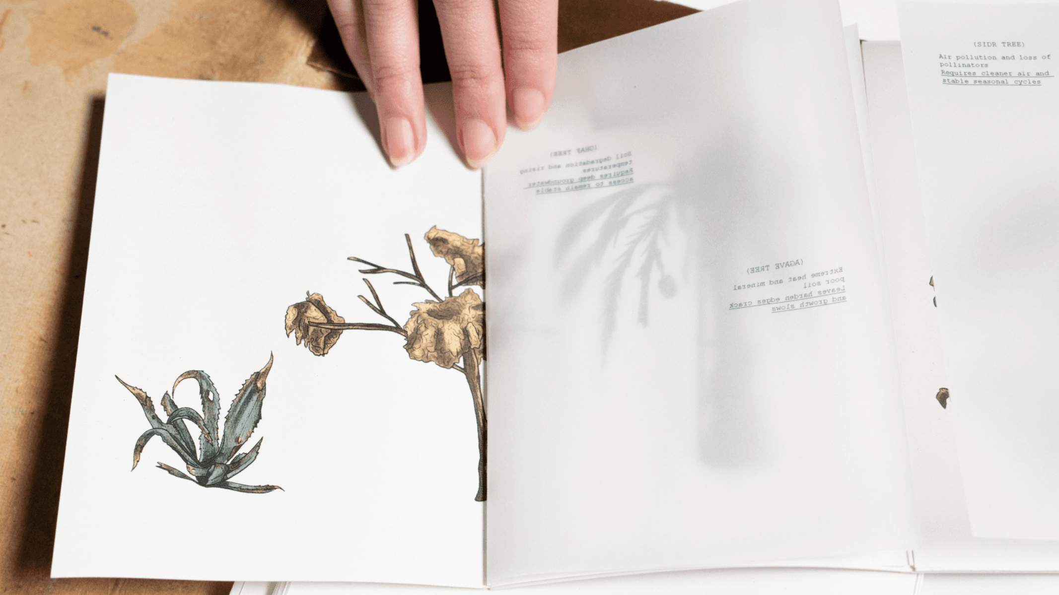Al-Haif A Speculative Illustrated Journal, portfolio item 13