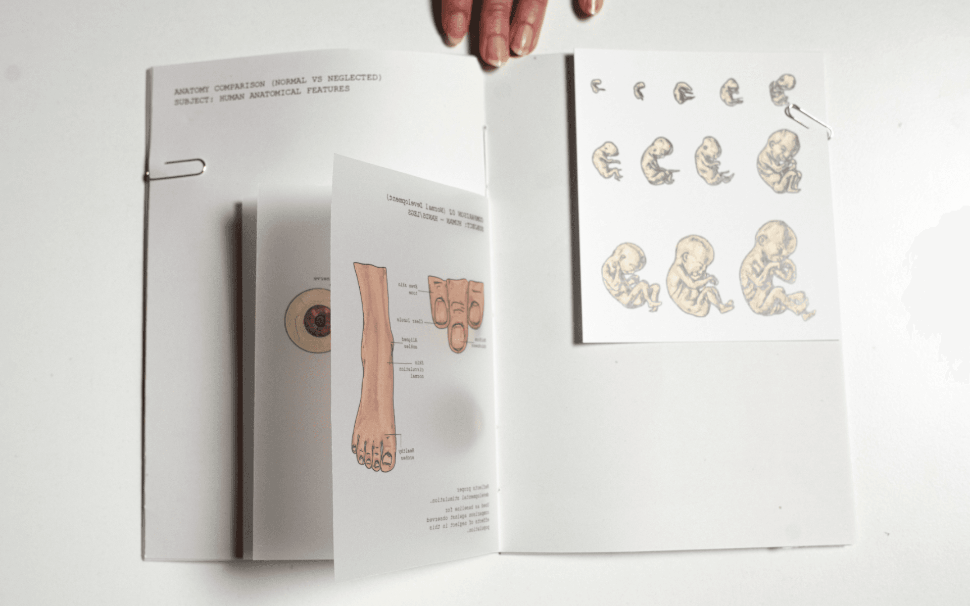 Al-Haif A Speculative Illustrated Journal, portfolio item 11