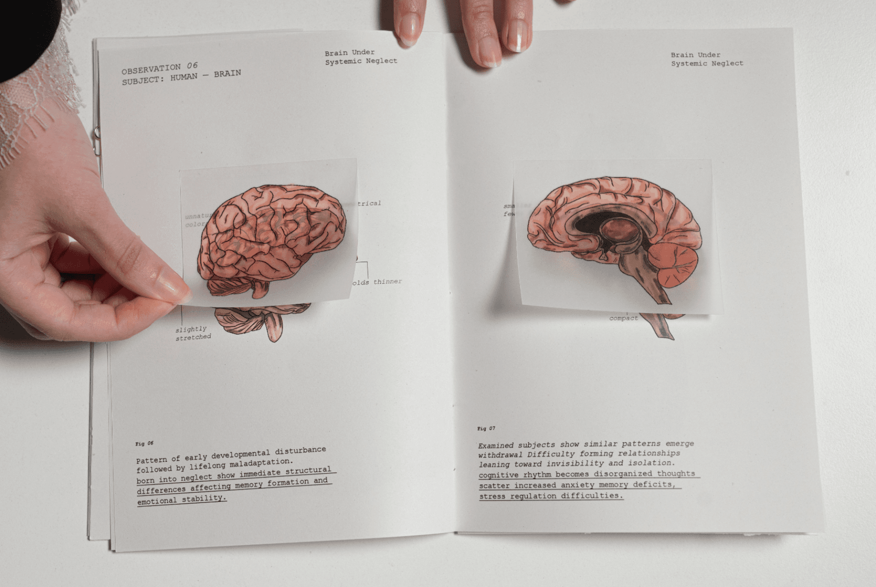 Al-Haif A Speculative Illustrated Journal, portfolio item 10