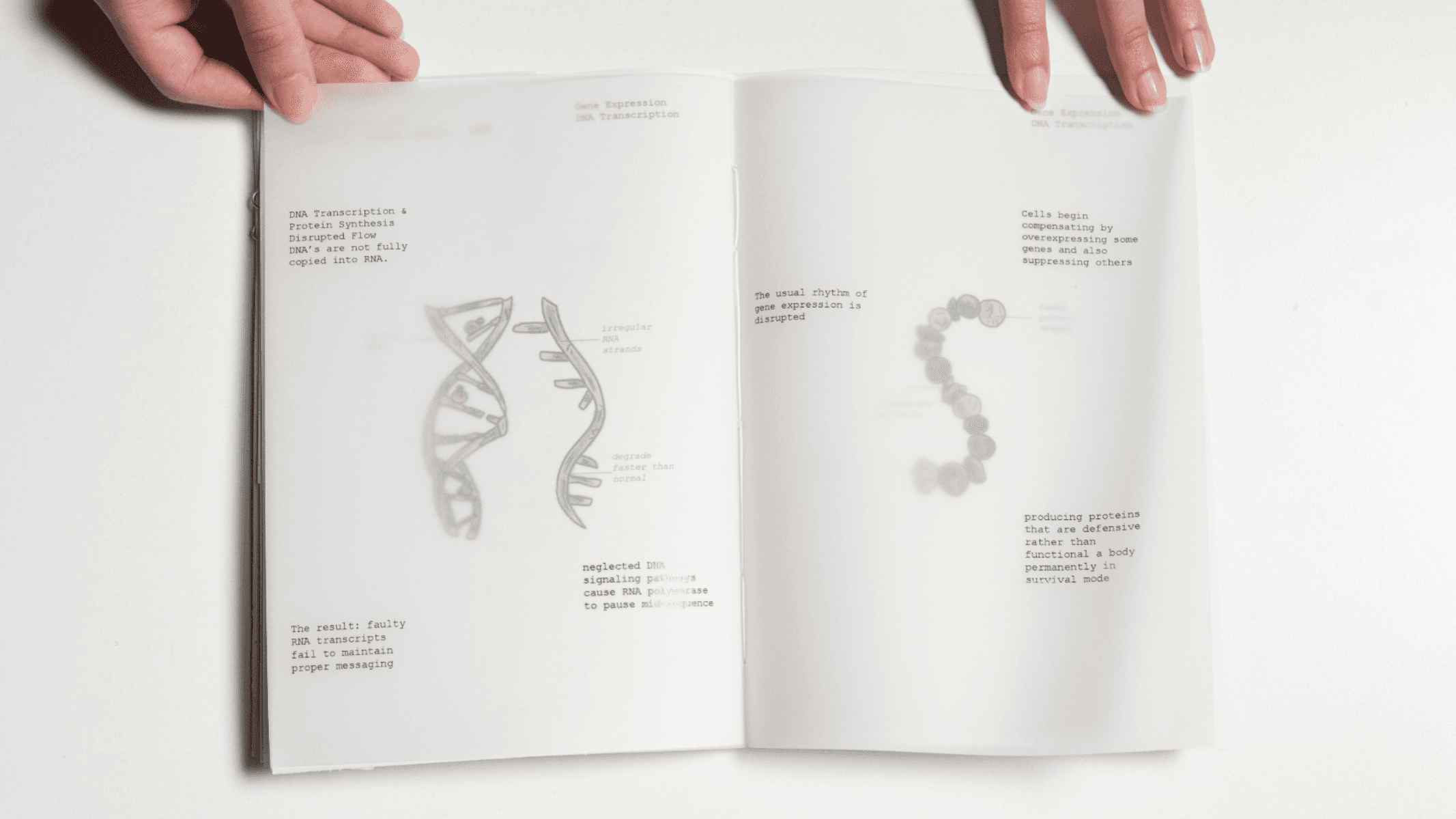 Al-Haif A Speculative Illustrated Journal, portfolio item 5