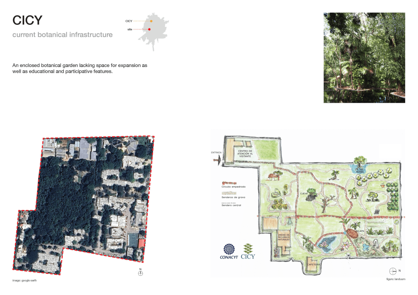 The botanical corridor, portfolio item 3