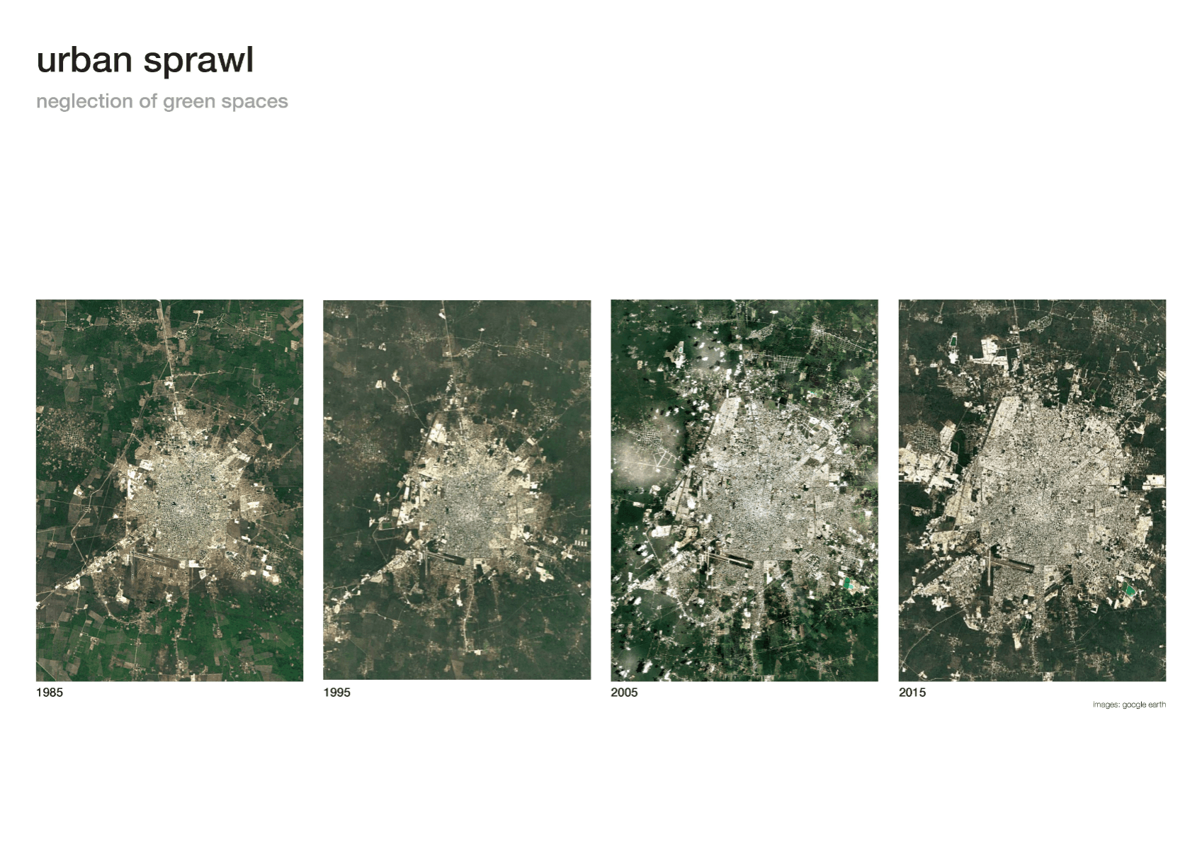 The botanical corridor, portfolio item 4