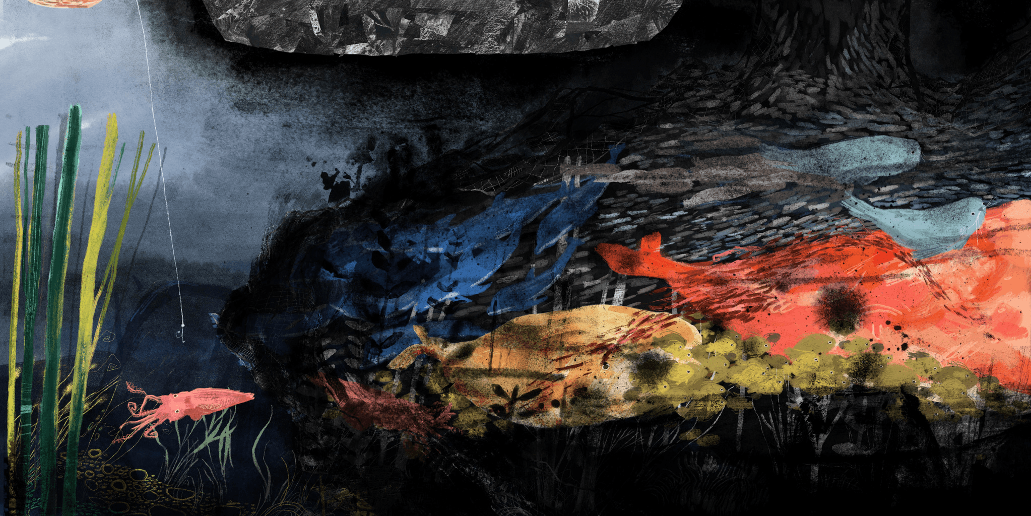 The sea we share, portfolio item 9