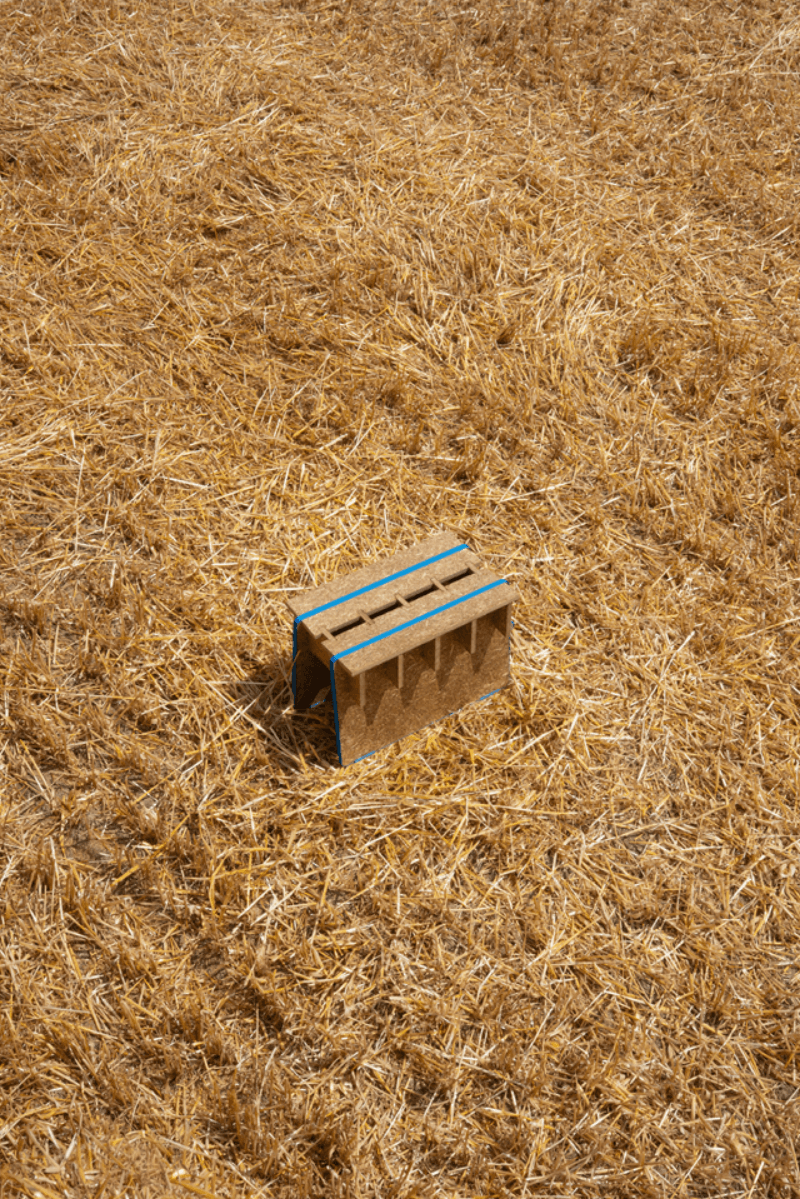 Cultivated Objects., portfolio item 2