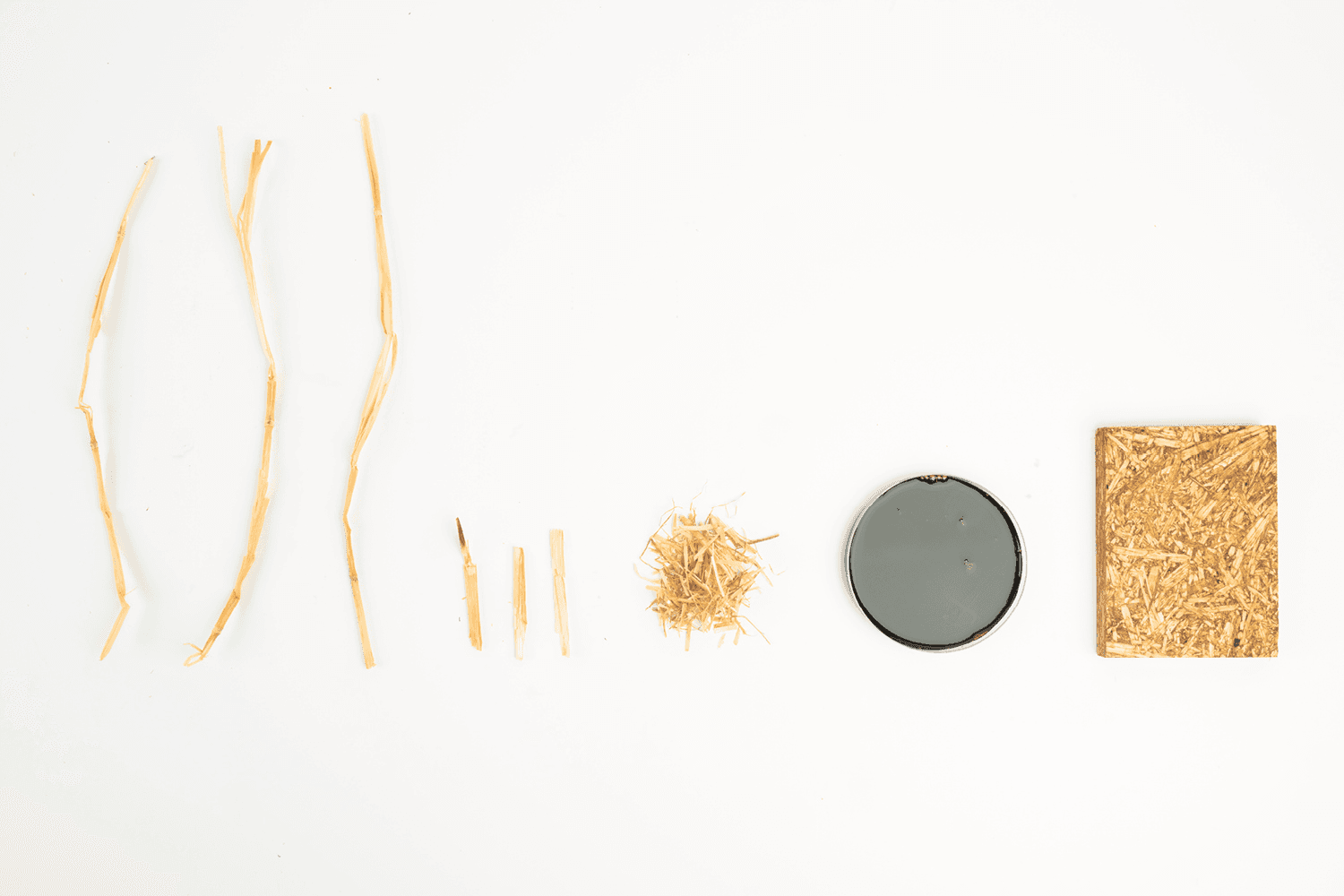 Cultivated Objects., portfolio item 6