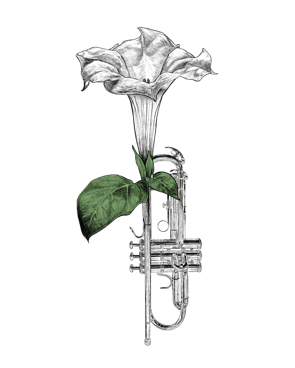 Jazz associates, portfolio item 12