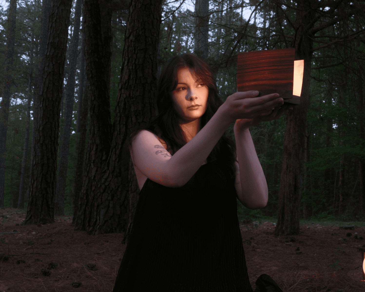 Wooden lung, portfolio item 4