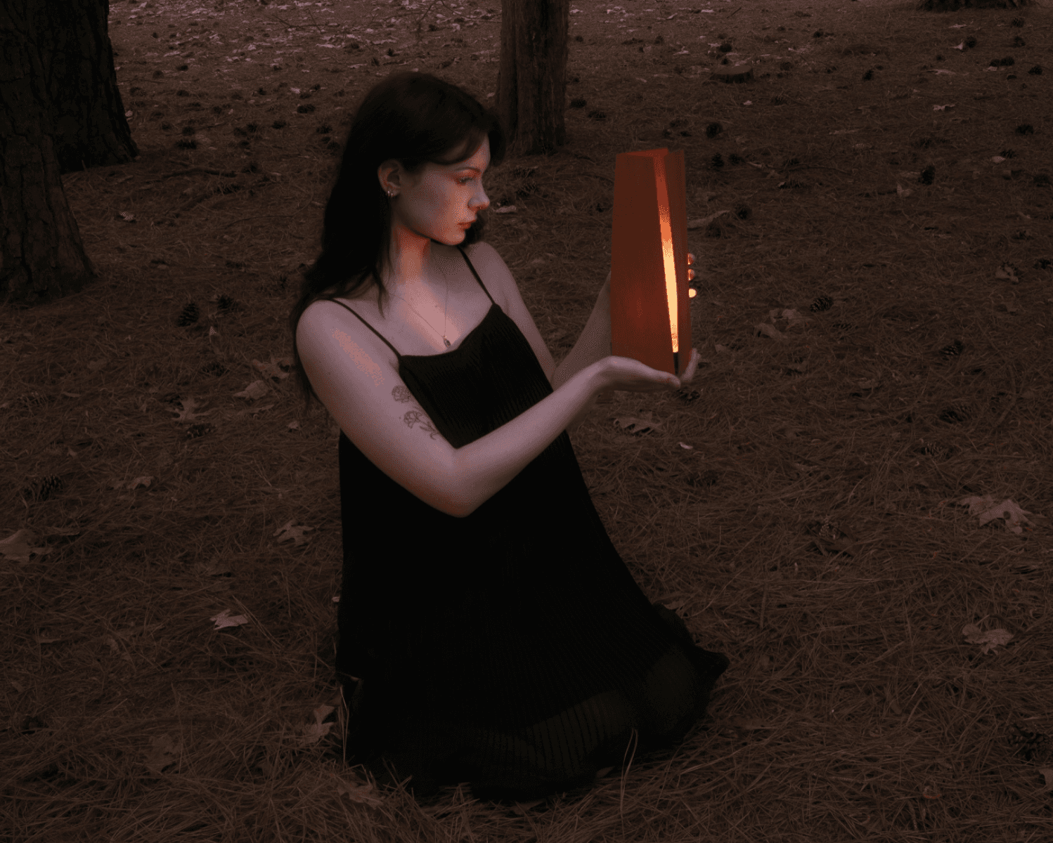 Wooden lung, portfolio item 5