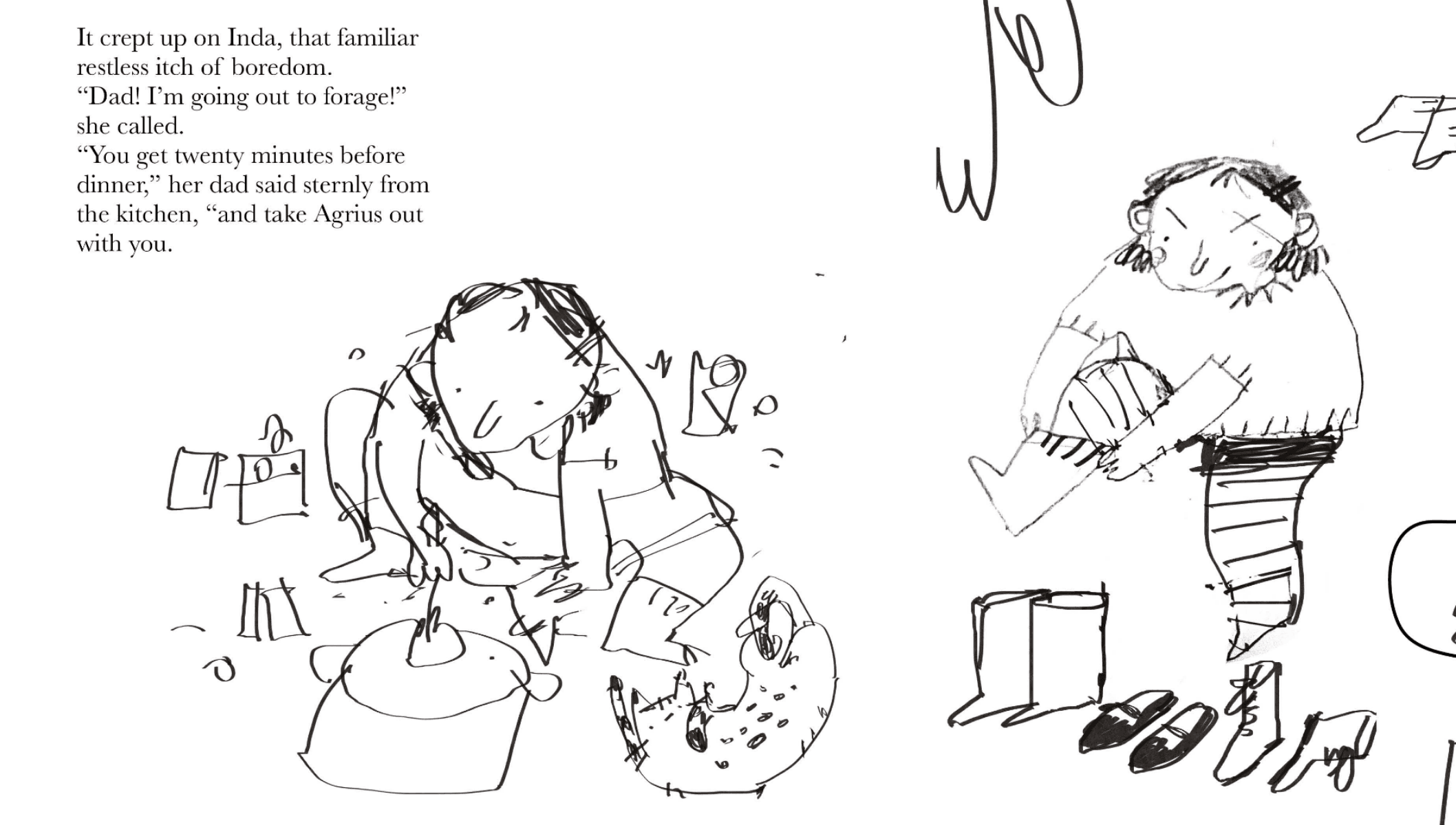 Inda and agrius, portfolio item 8